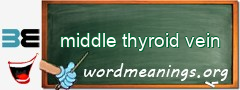WordMeaning blackboard for middle thyroid vein